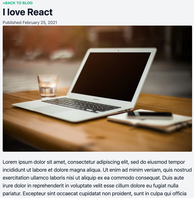 Figure 7.11 – Blog detail page 